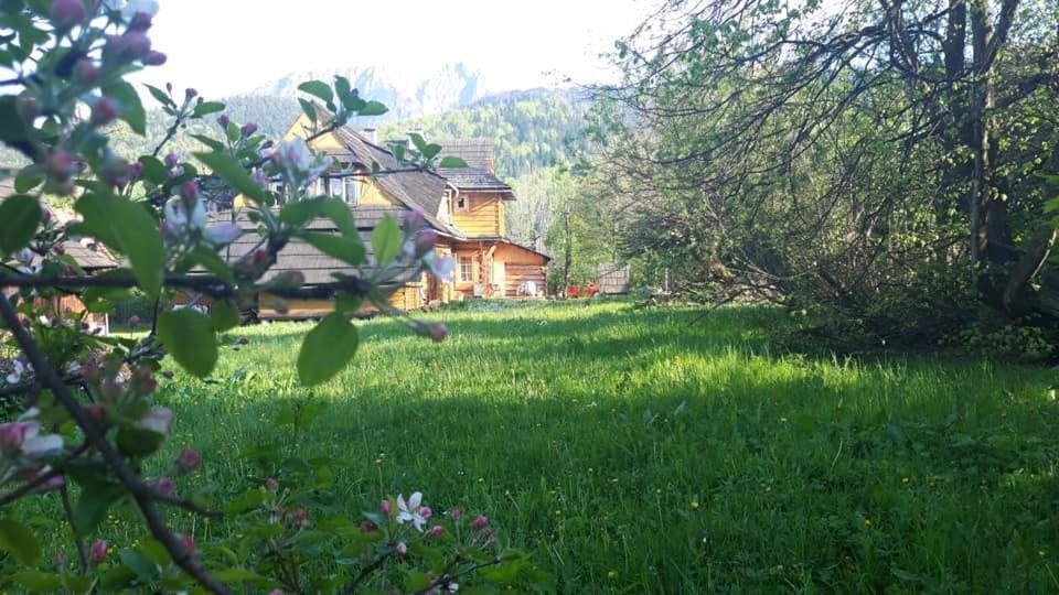 Kwatery Prywatne-Romanowka Zakopane Exteriör bild