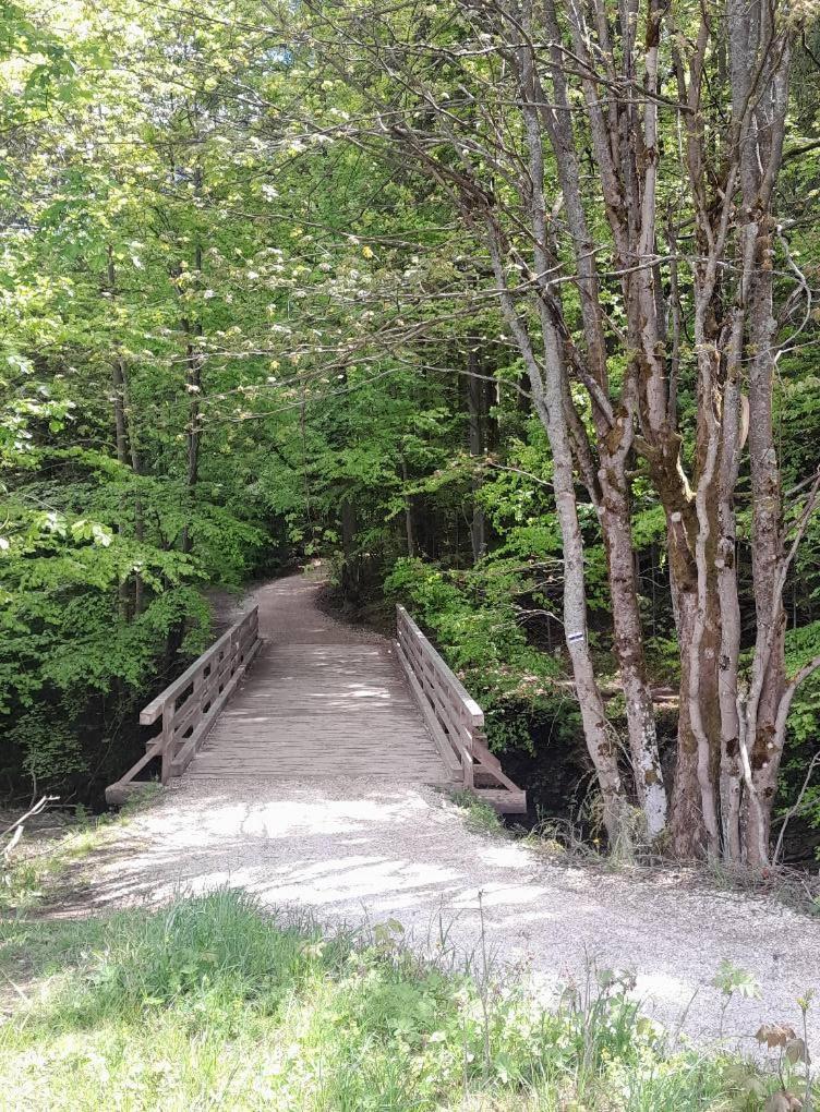 Kwatery Prywatne-Romanowka Zakopane Exteriör bild