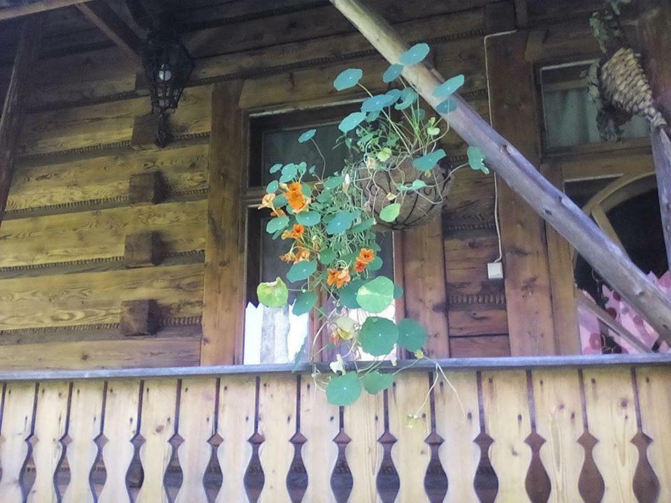 Kwatery Prywatne-Romanowka Zakopane Exteriör bild
