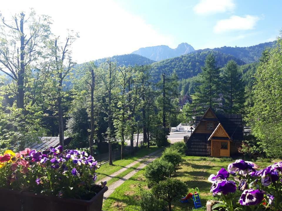 Kwatery Prywatne-Romanowka Zakopane Exteriör bild